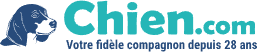 Chien.com