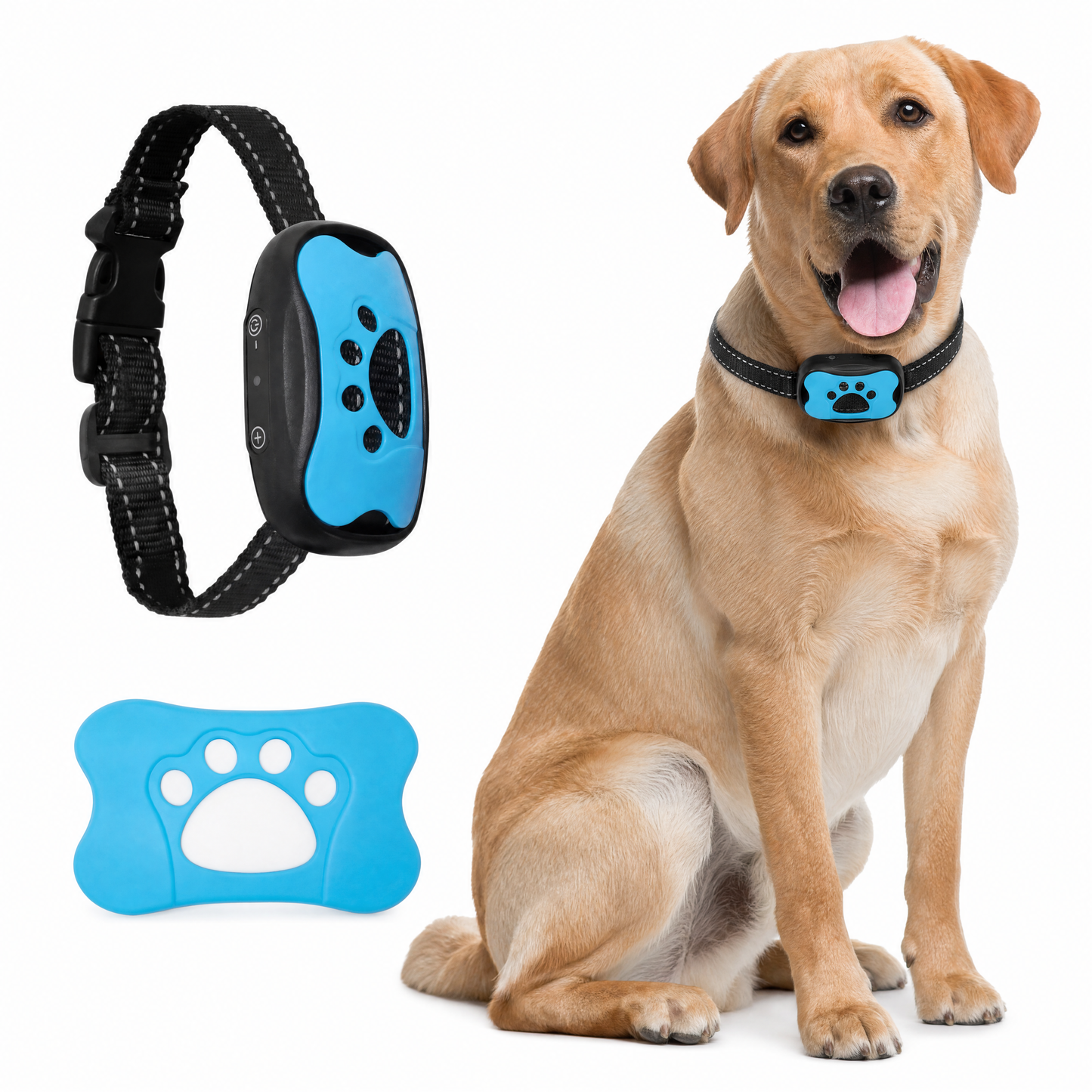 Pack Trio - 3 colliers anti-aboiement + sangle offerte